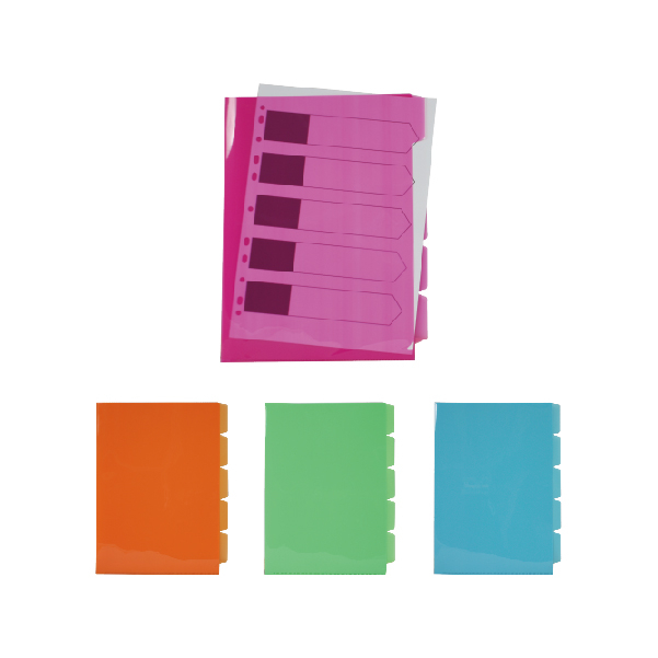 5 HOLD FILES WITH DIVIDER